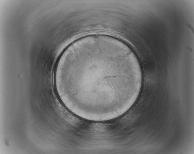 X0000101121514200806261424