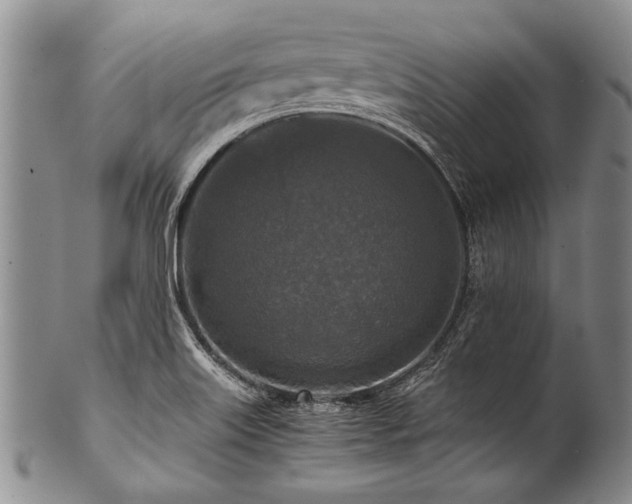 X0000101121515200806261424