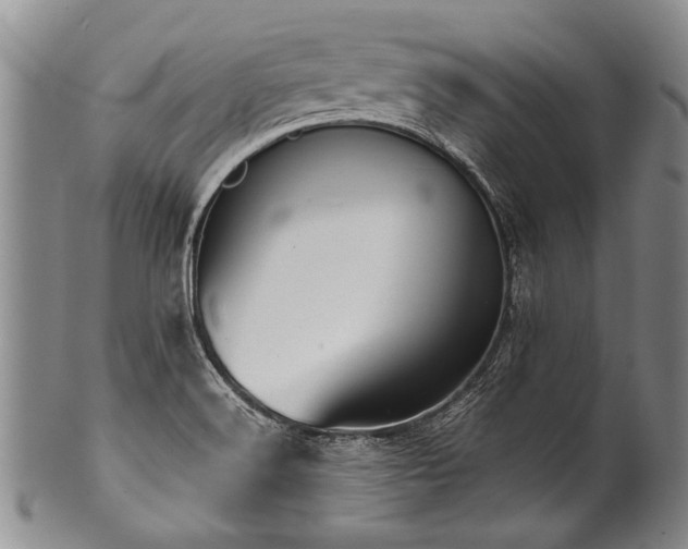 X0000101121516200806261424