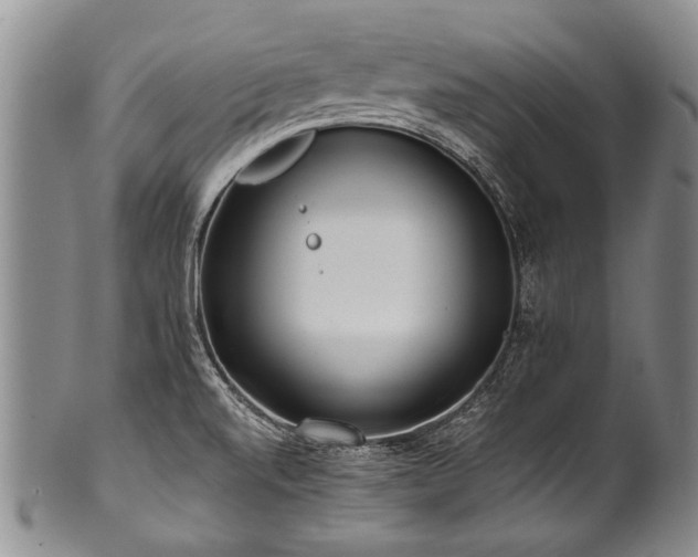 X0000101121520200806261424