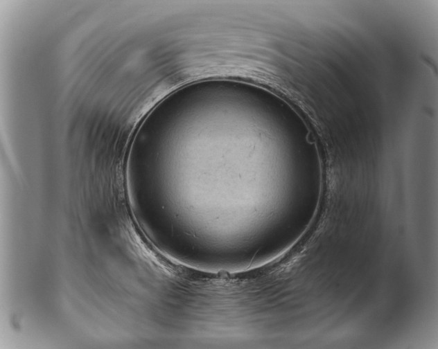 X0000101121521200806261424