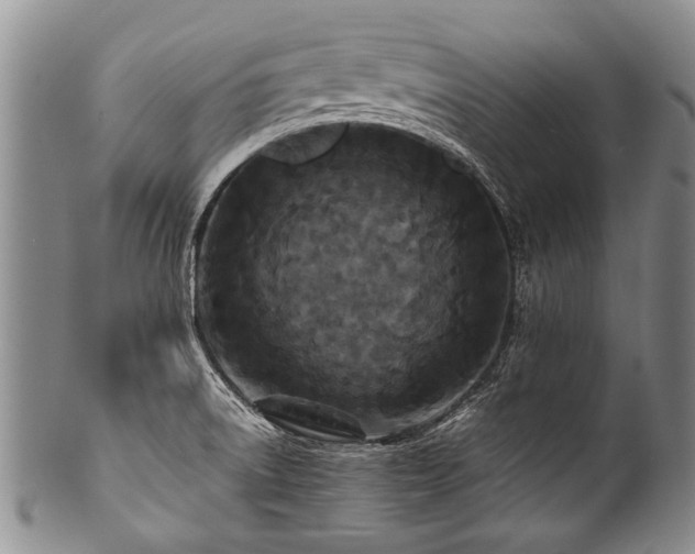 X0000101121522200806261424