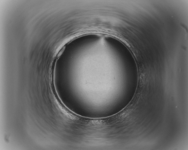 X0000101121523200806261424