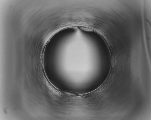 X0000101121524200806261424