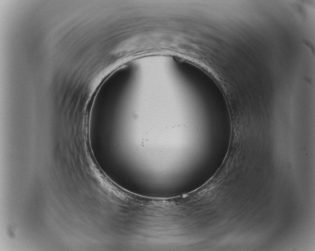 X0000101121526200806261424