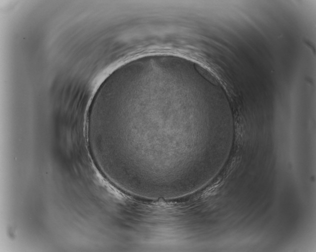 X0000101121527200806261424
