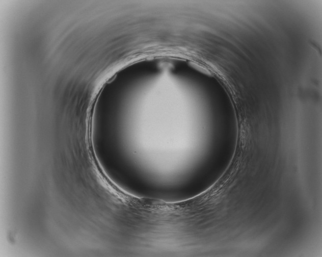 X0000101121528200806261424