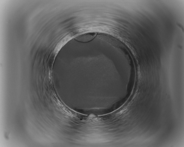 X0000101121529200806261424