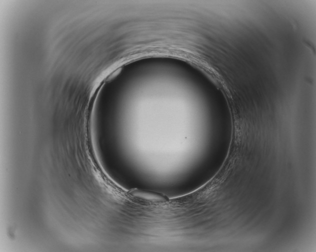 X0000101121530200806261424