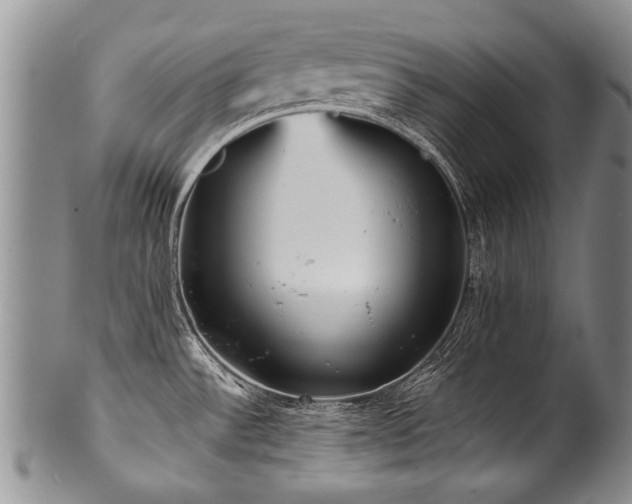 X0000101121532200806261424