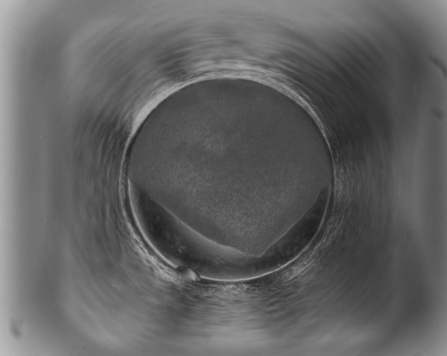 X0000101121533200806261424