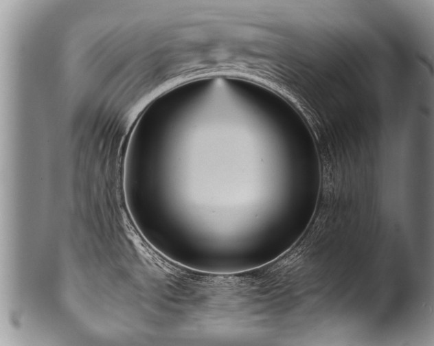X0000101121534200806261424