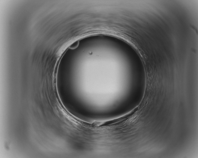 X0000101121535200806261424