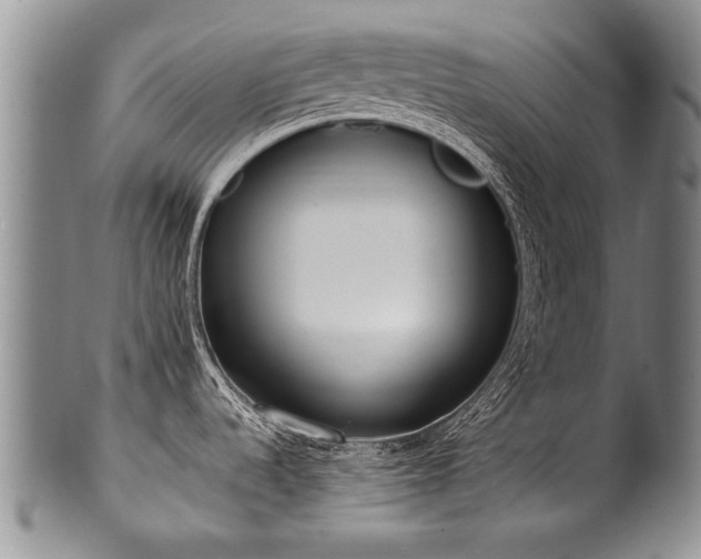 X0000101121536200806261424
