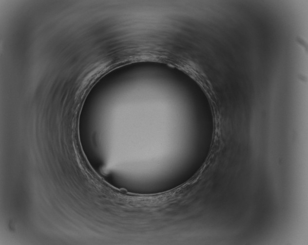 X0000101120001200807031815