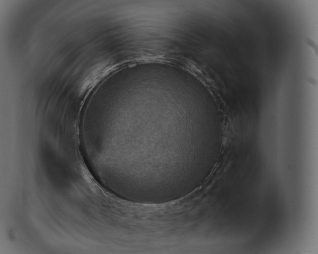 X0000101120002200807031815