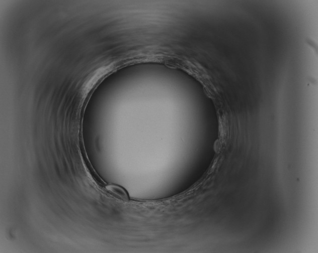 X0000101120003200807031815