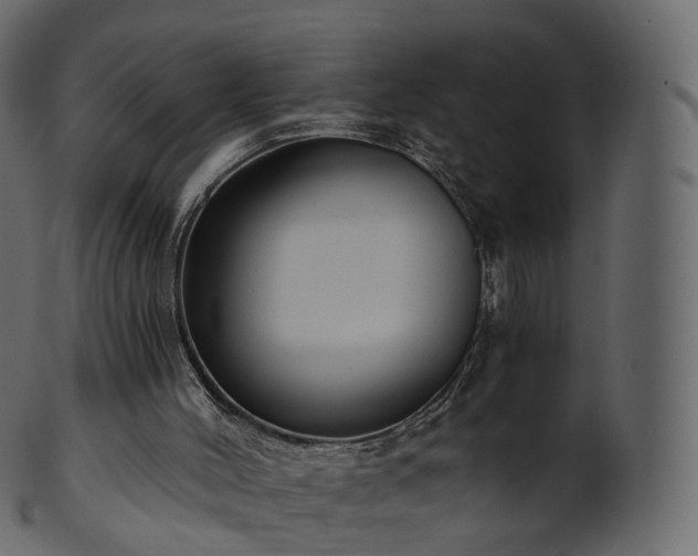 X0000101120004200807031815