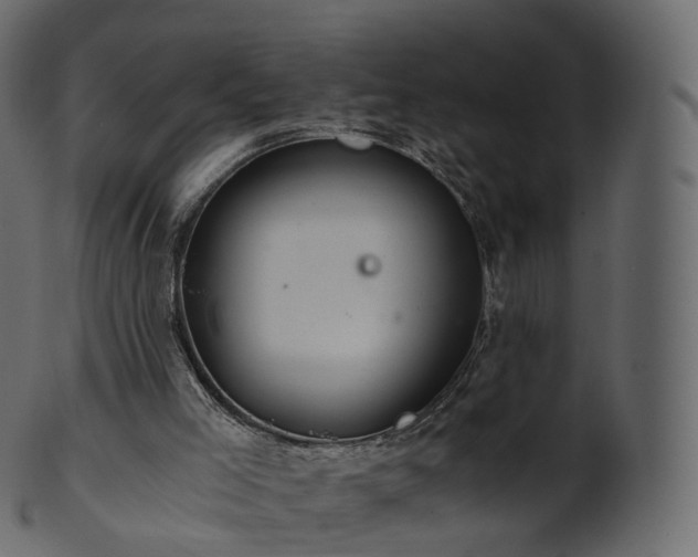 X0000101120005200807031815