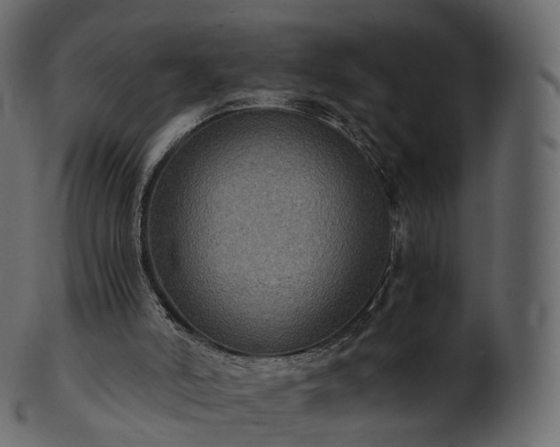 X0000101120006200807031815