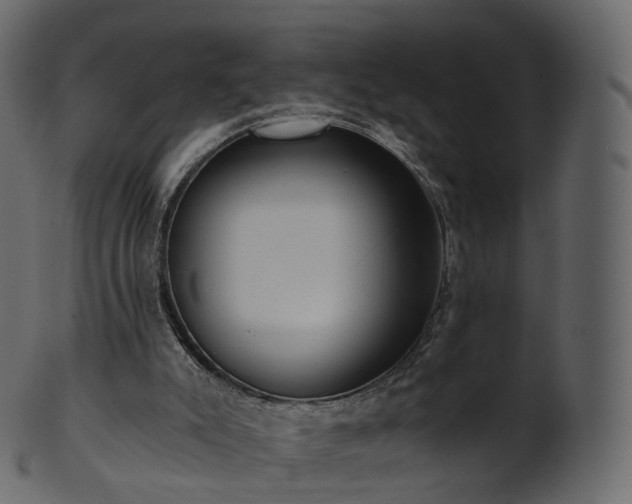 X0000101120007200807031815