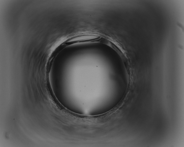 X0000101120008200807031815