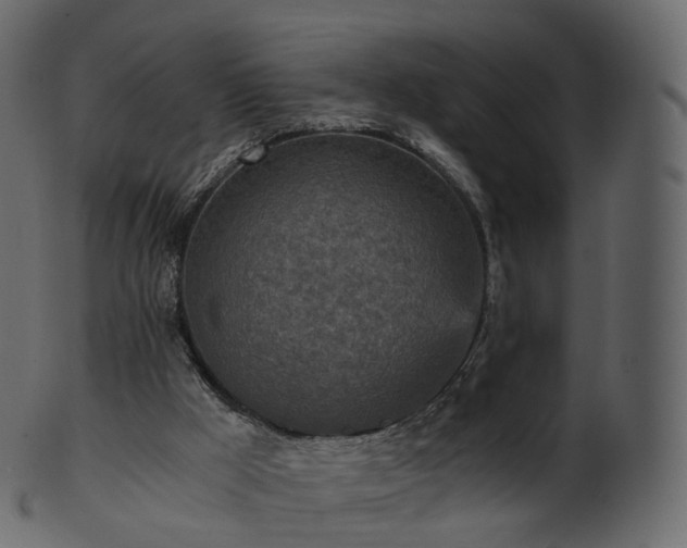 X0000101120009200807031815
