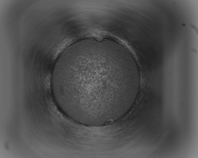 X0000101120010200807031815
