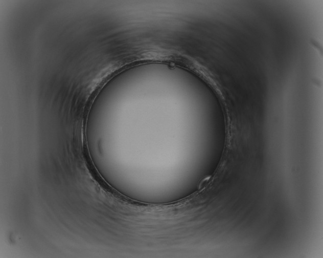 X0000101120011200807031815