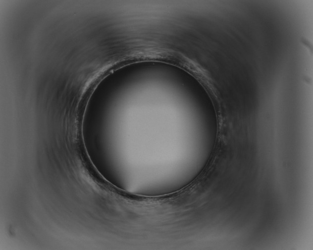 X0000101120012200807031815