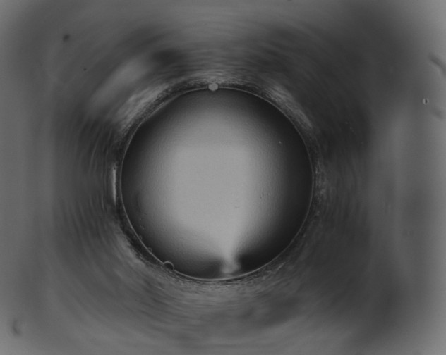 X0000101120014200807031814