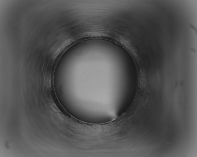 X0000101120015200807031814