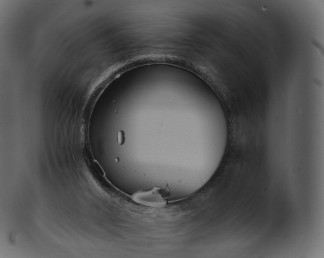 X0000101120016200807031814