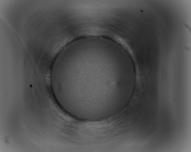 X0000101120017200807031814