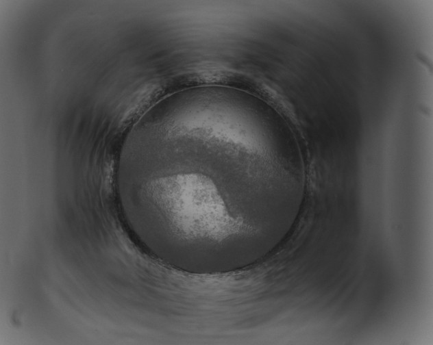 X0000101120018200807031814