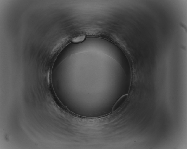 X0000101120019200807031814