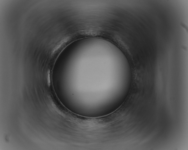 X0000101120020200807031814