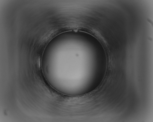 X0000101120021200807031814