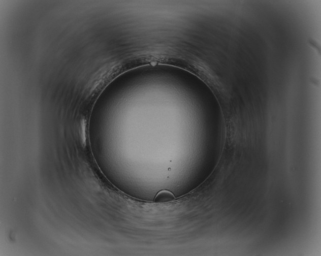 X0000101120022200807031814