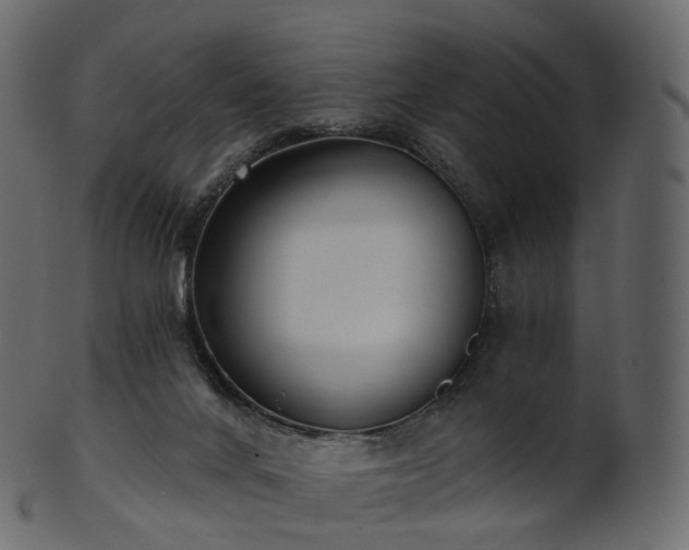 X0000101120024200807031814