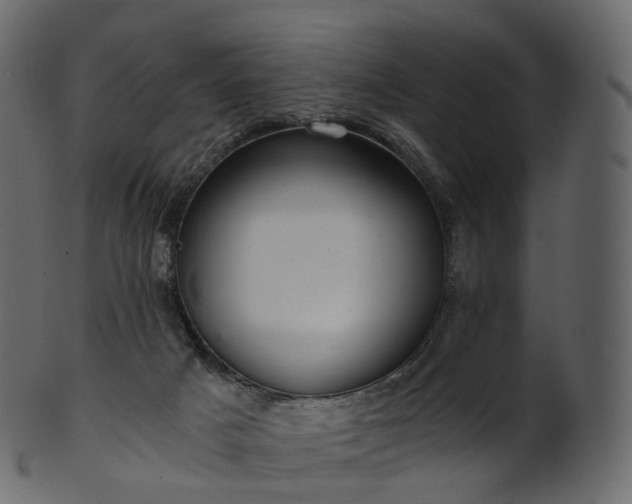 X0000101120025200807031814