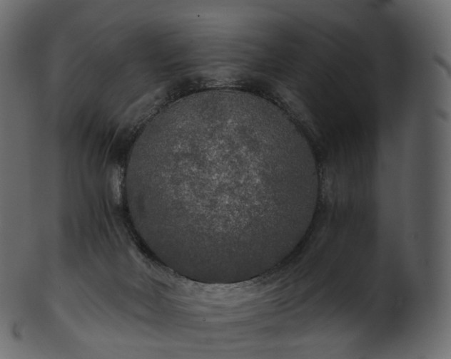 X0000101120026200807031814
