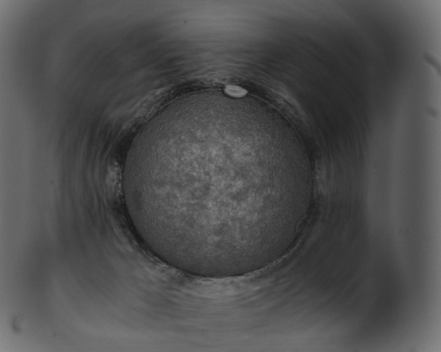 X0000101120029200807031814