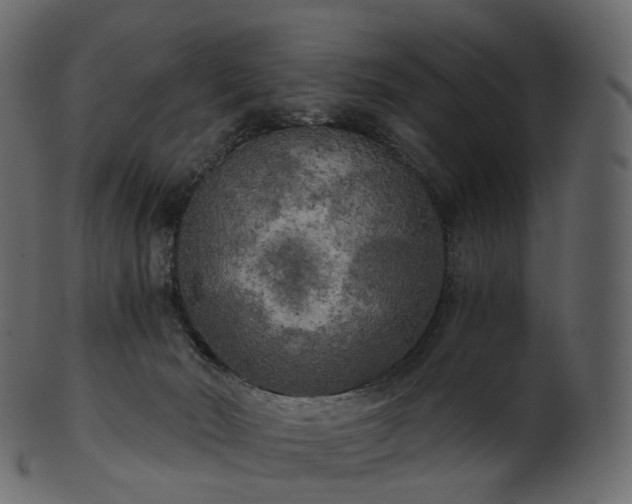 X0000101120030200807031814