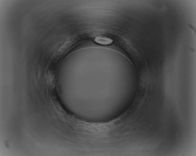 X0000101120031200807031814