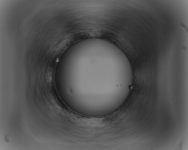 X0000101120032200807031814