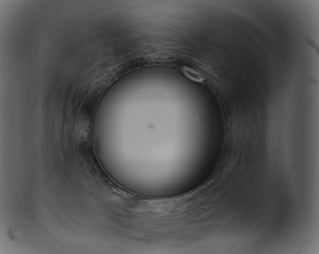 X0000101120033200807031814