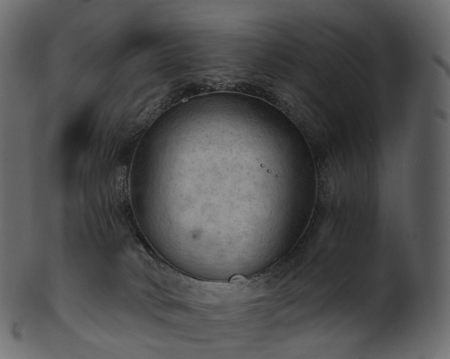 X0000101120034200807031814