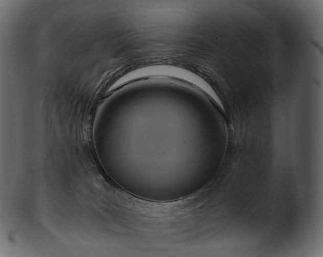 X0000101120035200807031814