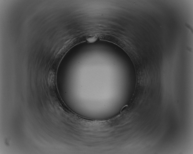 X0000101120036200807031814